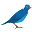 :berniebird: