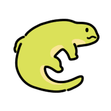 :lizard013: